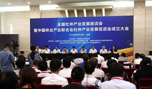 全國杜仲產(chǎn)業(yè)發(fā)展座談會(huì)暨中國林業(yè)產(chǎn)業(yè)聯(lián)合會(huì)杜仲產(chǎn)業(yè)發(fā)展促進(jìn)會(huì)成立大會(huì)京召開